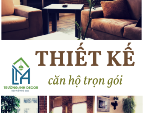 Thiết kế căn hộ trọn gói tại TP.HCM - Trường Anh Decor
